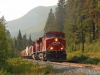 CP-Güterzug in B.C.