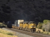 UP 8667/7710/7920/7687 Gz Echo Canyon