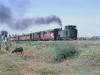 Train heading for Howrah station on 13 February 1968.