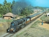 WL class No. 15052 near Tokkatta on the Jagatha Janatta Express, 6.20 from Mangalore to Delhi, 26 December 1979.