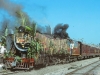 A new metre-gauge line was opened from Bangalore to Mangalore on 27 December 1979; the inaugural train from Mangalore left at 10.30 and was worked by YG No. 3156. The engine was heavily decorated with branches and leaves, as seen here before departure from Mangalore.