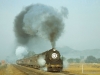 The Eastern Railway has a severe climb in the down direction from Jhajha and in steam days bankers were provided.  Here, on 18 December 1980 the down Mithila Express is worked by a WG 2-8-2 in preference to a WP, doubtless because of the gradients, and another WG is hard at work in the rear.
