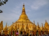 Die Pagode von Yangon