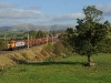 Die britischen Bahnen heute