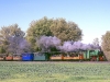 Bis 1983 waren auf der Stahlwerksbahn in Králův Dvůr mehrere Industriebahndampfloks vom Typ BS80 aktiv. Die ehemalige KŽ10 verkehrt heute auf der wieder aufgebauten Rübenbahn bei Kolín. Das sonnige Herbstwetter führte am 29.9.2013 zu einem hohen Fahrgastaufkommen. Früher, als noch auf der Bahn Rüben transportiert wurden, gab es bereits schon sporadischen Ausflugsverkehr Foto: Bertram Frenzel