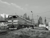 Moldawien: Für den Zug 106 „Prietenia“ aus Bucureşti genügt eine einteilige 3TE10M. Am 21. Oktober 2011 war die 3TE10M-1249 B mit diesem Zug zwischen Visterniceni und der Endstation Chişinau anzutreffen.