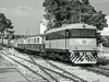 Süditalien: FERROVIE DEL SUD-EST: Personenzug mit BB.153 (Hersteller Marelli-Reggiane, Baujahr ab 1960, 80 km/h, 770 PS), Wagen von Carminati-Toselli
