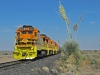 Bahnerlebnisse in Arizona und New Mexico 04
