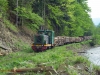 TU4-1695 fährt mit einem schweren Holzzug bei km 23 derMyzunka-Hauptstrecke talwärts (Mai 2012)