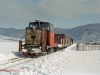 TU8G mit sechs leeren Plattformwagen im Ortsbereich von Staryj Mizun\',aufgenommen am 24.02.2003