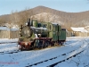 Die hier abgebildete Dampflokomotive 159-495 kam nur im Jahre 2004 einmalfür eine ganz kurze Sonderfahrt in Vyhoda zum Einsatz, inzwischen stehtsie als äußerlich restauriertes Denkmal im Bahnbetriebswerk von Czernowitz(Chernivtsi). Foto im alten Bahnhof von Vyhoda vom 19.12.2003