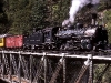 Museumsbahnen: Durango - Silverton, bei Tacoma  (Foto: Hansjörg Brutzer)