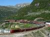 Norwegen Bergenbahn Rücktitel - Myrdal 18 2253 mit 601