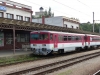 Trencin Os aus Chynorany und burg 28.6.13