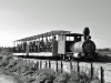 Algarve: Eine als „Dampflok“ getarnte Diesellok der Schmalspurbahn von Pedras d´el Rei schiebt am 06.06.12 ihren „Badezug“ zurück zum Ortsbahnhof.