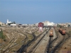 Algerien: Gleisvorfeld mit Gütergleisen, Bhf. Oran (04.10.2012)