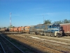 060DH09 mit Güterzug im Bhf. Batna (08.10.2012)