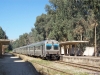 Algerien: Sidi Amar (Endpunkt einer Vorort-Strecke aus Annaba), Wendehalt der Züge 807/8 (10.10.2012)