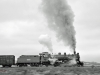 brasilien_03 - Die letzte nach  Brasilien importierte Dampflok (Jung, 1953) zieht einen  kurzen Leerwagenzug zum Kraftwerk nach Capivari.