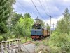 Museumsbahnen in Norwegen