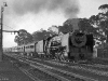 Roodekop 1958 : 15F thrashing up the grade with train 199 - daily express to Durban.