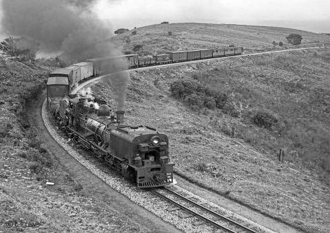 8_5005s3, PENG, Loerie bank, NGG16 on 627 mixed, June 1962a