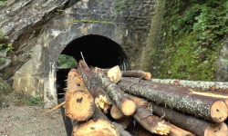 Produktionszug im Wassertal, Rumänien