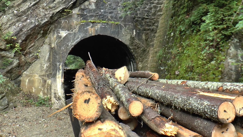 Produktionszug im Wassertal, Rumänien