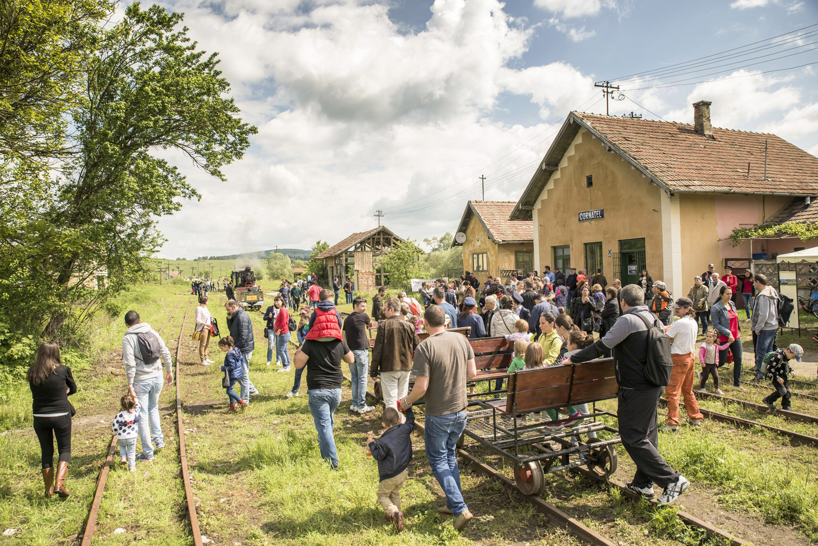 Schmalspurbahn auf der Harbachtalbahn in Rumänien (Zilele Mocăniței) 