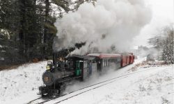 Steam and Tourist Railway News