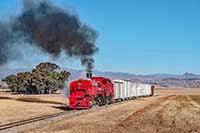Südafrika: Sandstone beherbergt 43 Schmalspur-Dampflokomotiven, etwa die Hälfte der Lokomotiven sind betriebsfähig